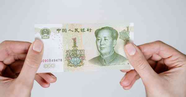手机npc是什么意思啊