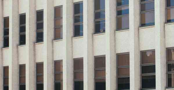 佛跳墙vqn最新版