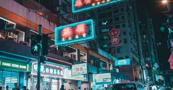 网一加速器下载官网